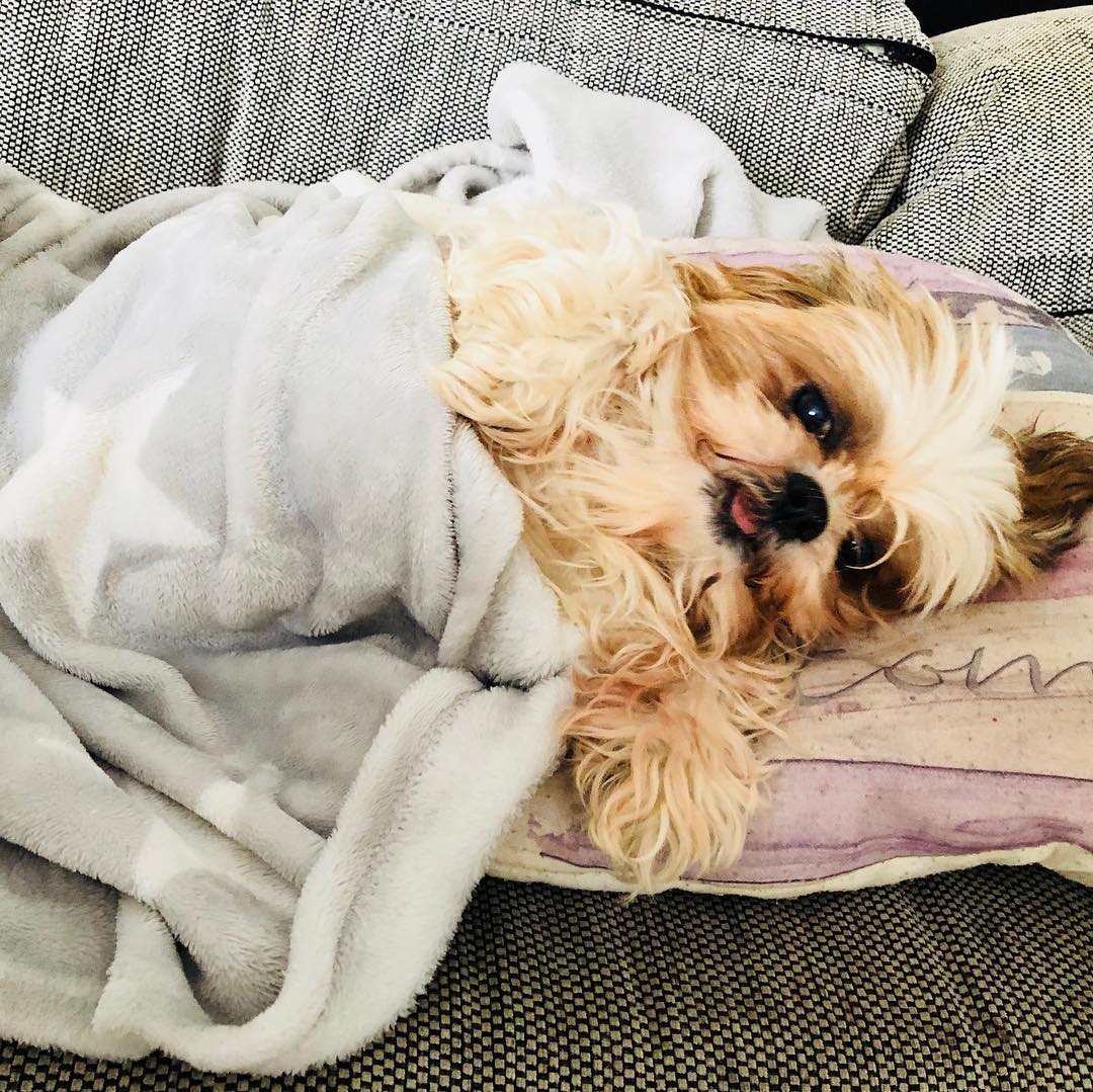 Emilia & Letizia Macula