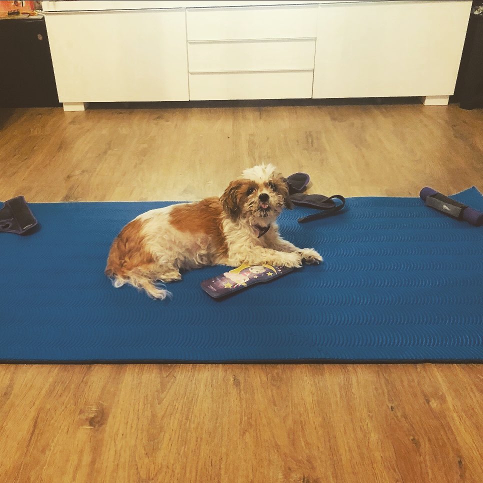 Emilia & Letizia Macula