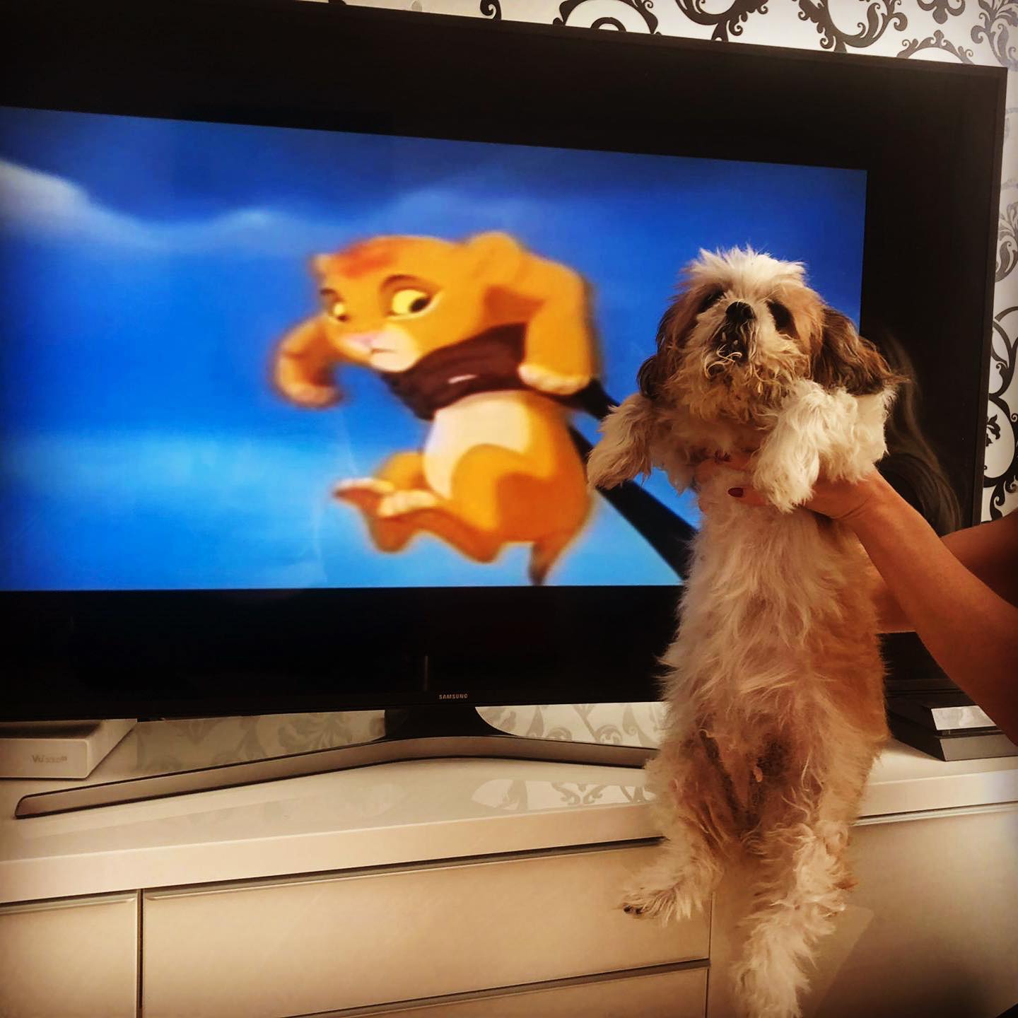 Emilia & Letizia Macula