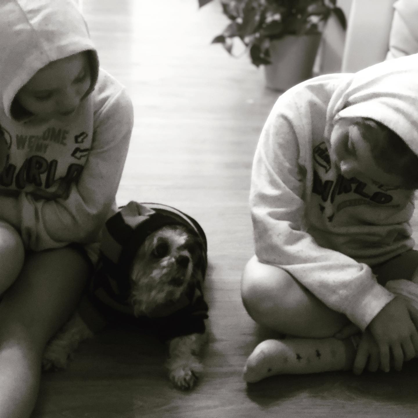 Emilia & Letizia Macula