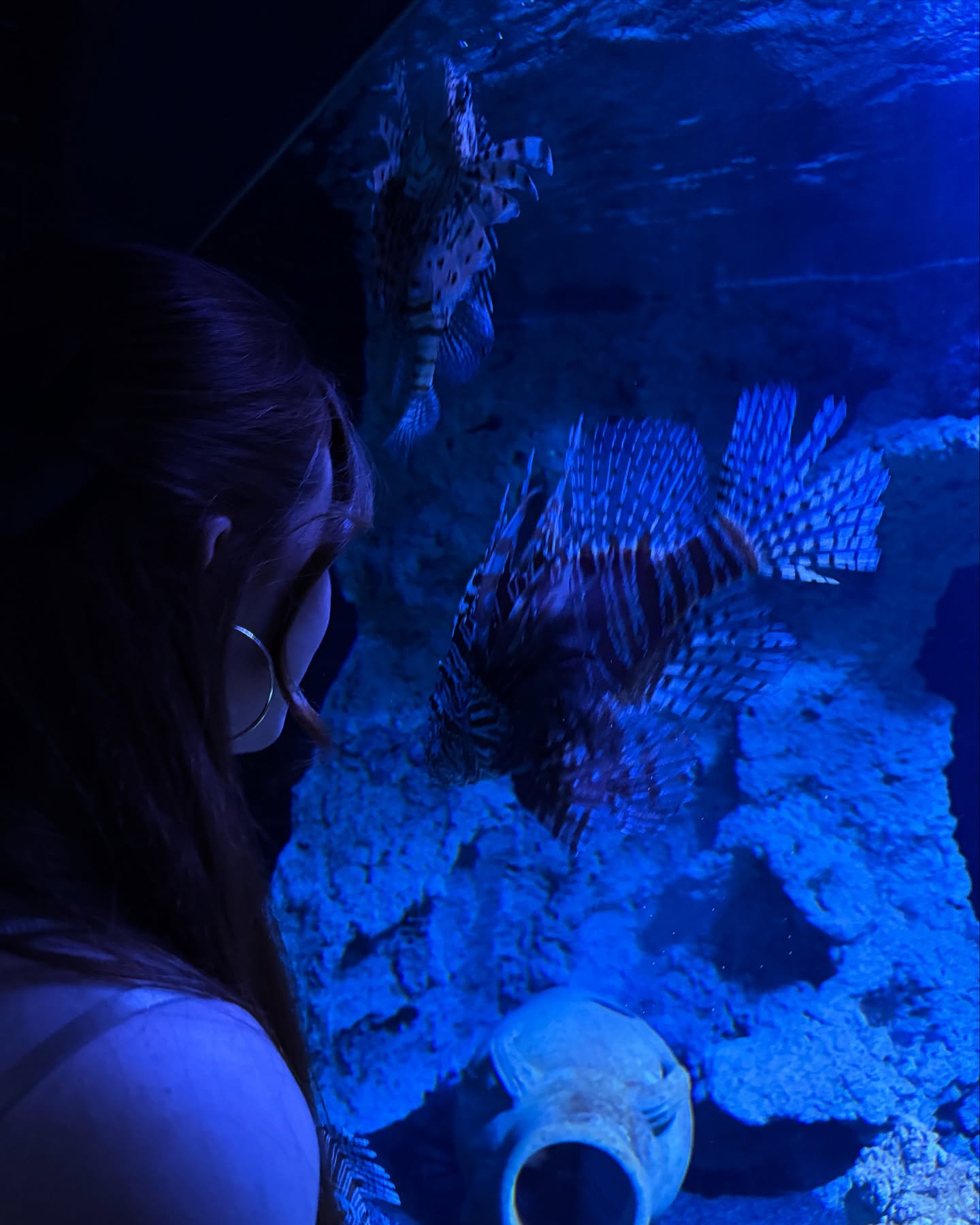 Emilia & Letizia Macula