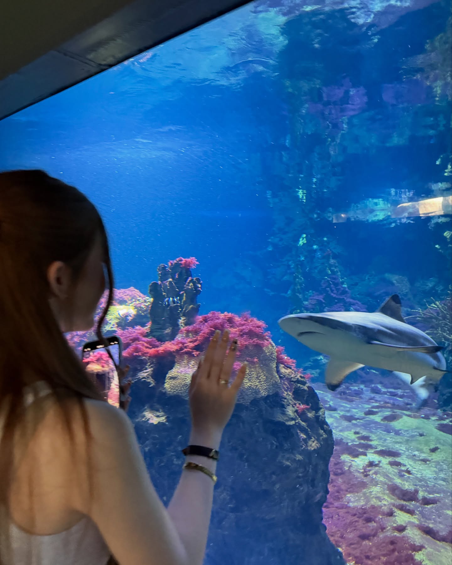 Emilia & Letizia Macula