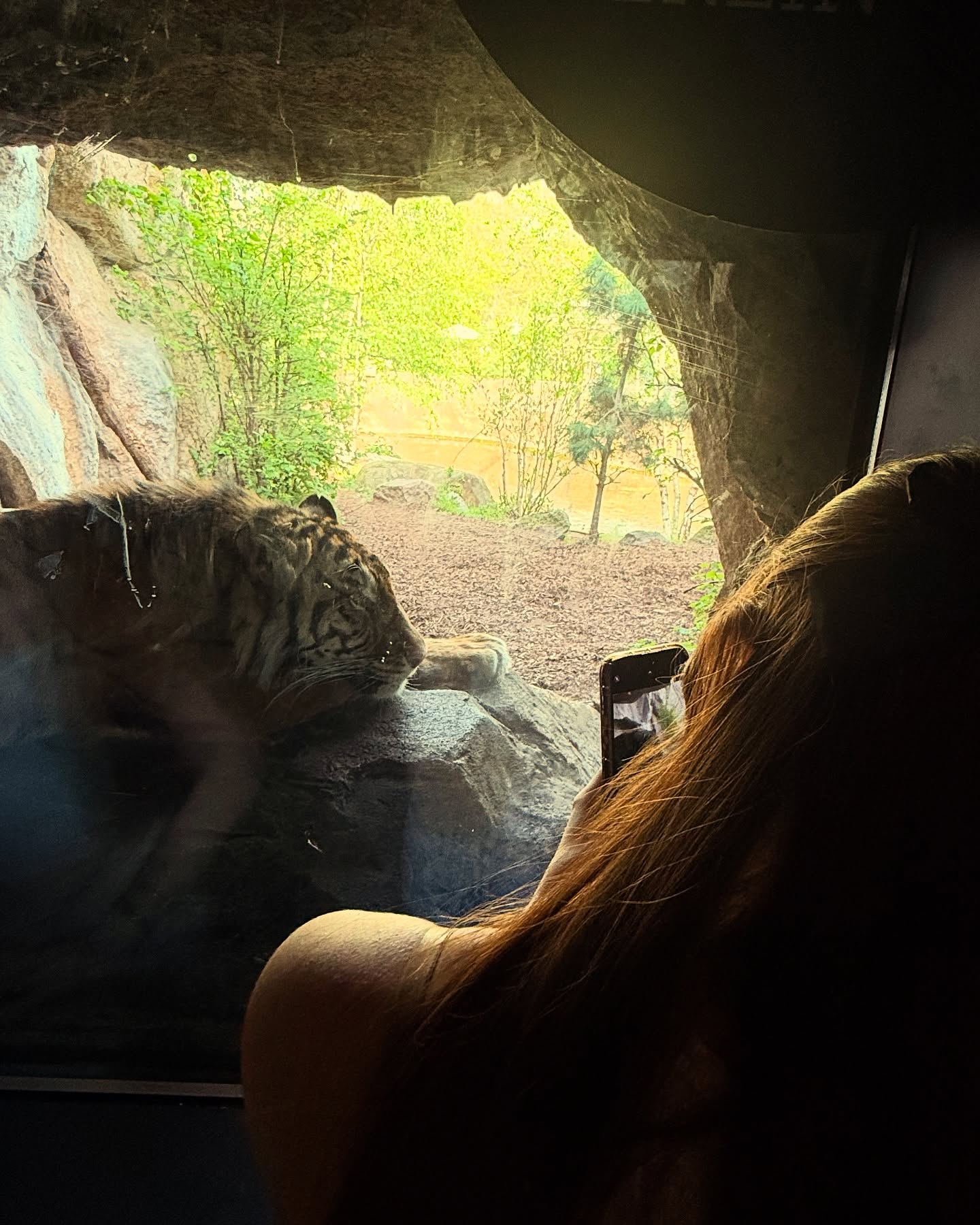 Emilia & Letizia Macula